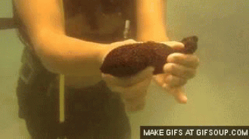 200.gif