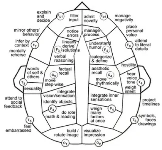 brain map dario nardi.webp
