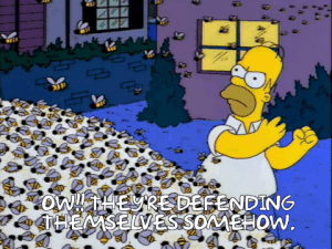 homer.gif