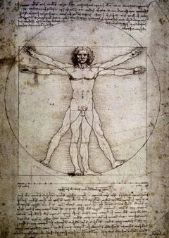 vitruvianman.webp