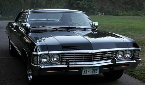 impala.webp