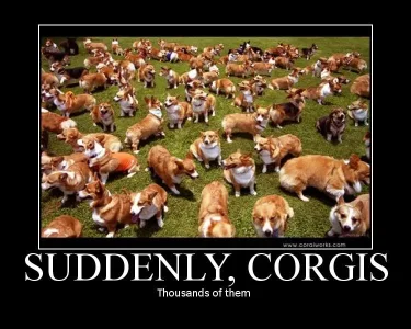 suddenly-corgis.webp