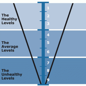 DevLevels1.gif