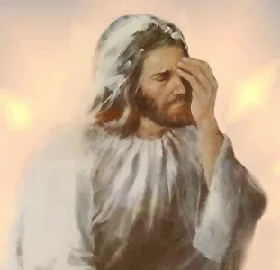 Jesus_facepalm.webp