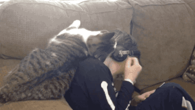 giphy (2).gif