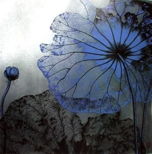 blueflower2.webp