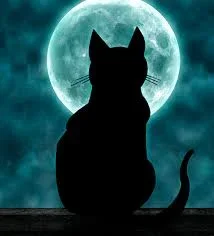 Cheshire cat and moon.webp