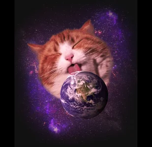 Space-Lick-Cat-Preview.webp