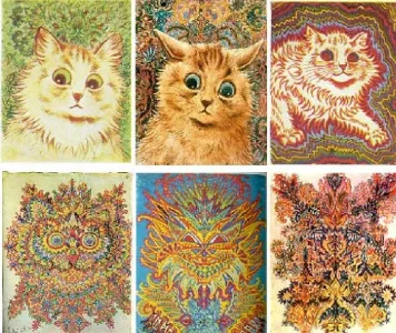 schcat.webp