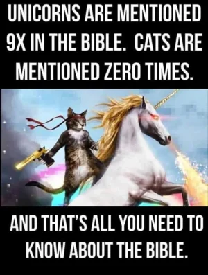cats.webp