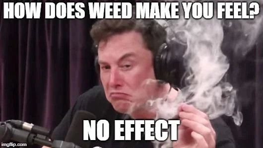 elon.webp