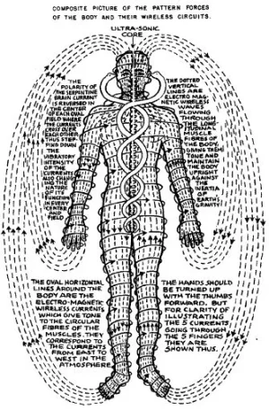 Pattern Forces of the body and electric circuit.webp