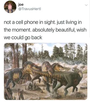 phone.webp
