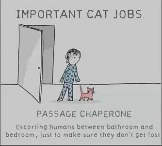 chaperone.webp