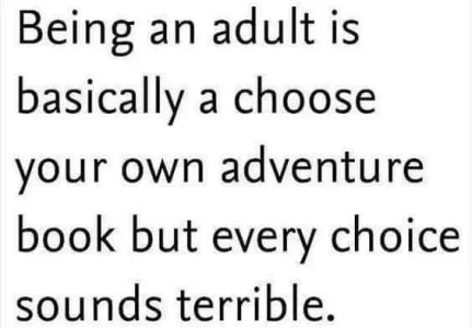 adult.webp