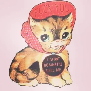 kitty.webp