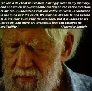 shulgin.webp