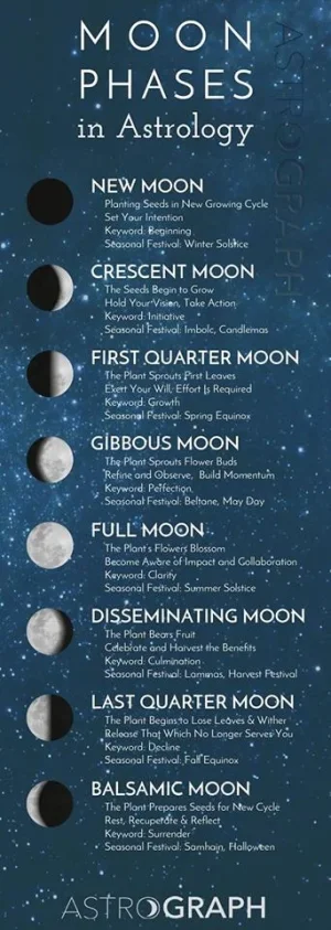 moon.webp