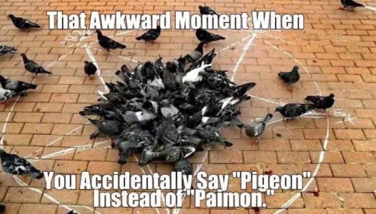 pigeon.webp