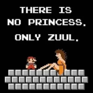 zuul.webp