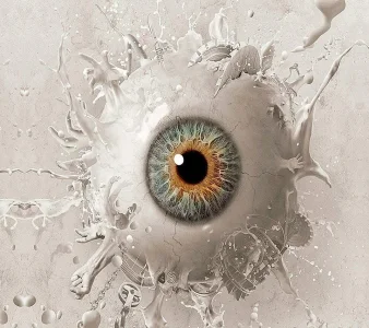 eye.webp