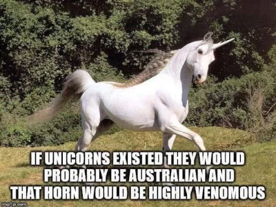 unicorn.webp