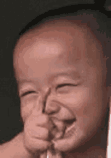 tenor (2).gif
