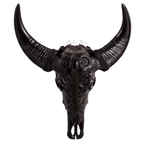 Skulls_1st_Photoshoot_121_645x.webp