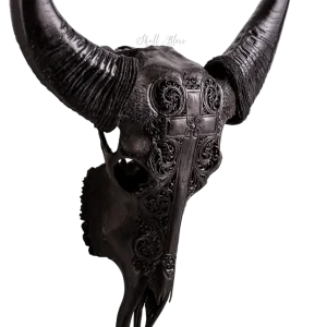 Skulls_1st_Photoshoot_122_645x.webp