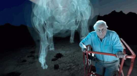 27F479D0-757C-40F9-8179-761ADDBE4A6C.gif