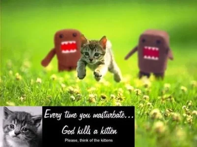 God-kills-kitten.webp