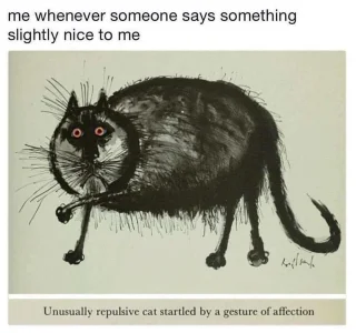 37724650_2100293116956745_2875970239533678592_n.webp