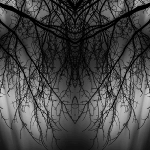 974961767_mirror3.webp