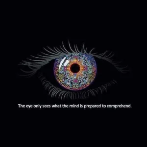 55759902_10156656451736693_1579213312430702592_n.webp