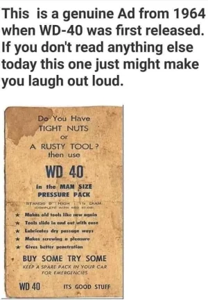 56424378_2616445038384541_6347012097758461952_n.webp