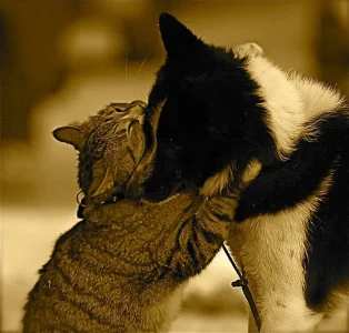 1968361-2-big-hug.webp