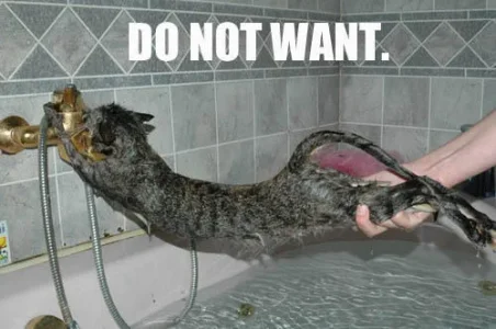 do_not_want.webp