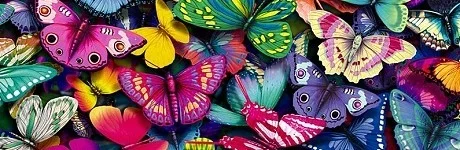 butterflies-460x150.webp