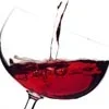 merlot.webp
