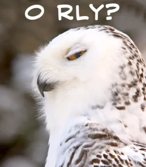 orly4.webp