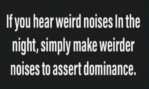 60332904_2468337706543435_8600491389685334016_n.webp