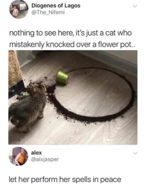 61593938_1299927116836020_3273631859786907648_n.webp