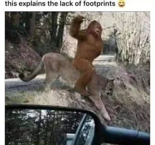 62323147_2417026011694940_1329512744294023168_n.webp