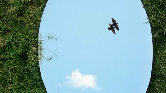 Screen Shot 2019-06-15 at 1.39.08 PM.webp