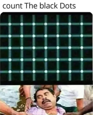 64438232_2449165741801127_1076362063288205312_n.webp