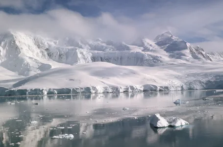 00980 Antarctic Peninsular.webp