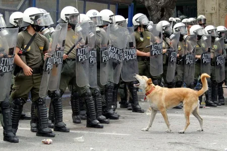 loukanikos-greece-riot-dog (1).webp