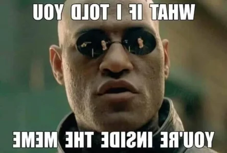 67299933_3352455708113879_3338116442934476800_n.webp