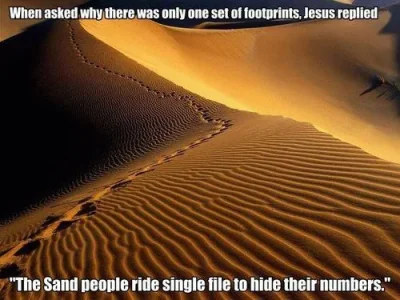 426223_10150599355365759_42306592_n.webp