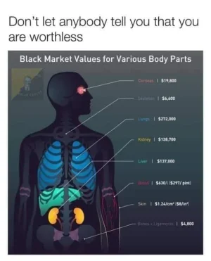 69337571_2584103854973981_6099148199371472896_n.webp